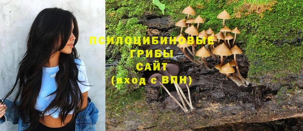 дживик Алзамай