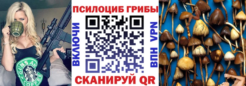 наркотики  Петушки  Псилоцибиновые грибы Psilocybe 
